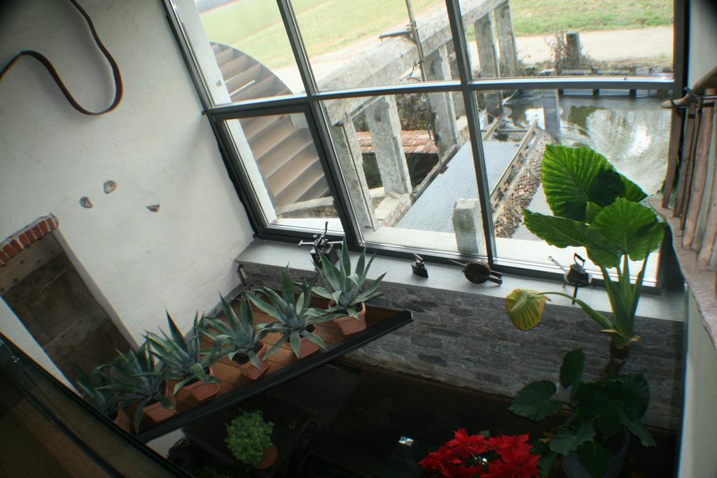 Il Vecchio Mulino Di Bairo Guest House Екстериор снимка